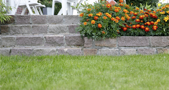 Rasen mähen Rasen mähen