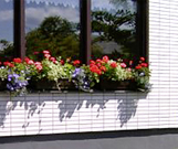 Balkongarten Balkongarten