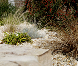 Naturgarten Naturgarten