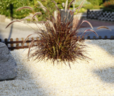 Kleingarten Kleingarten