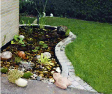 Wassergarten Wassergarten